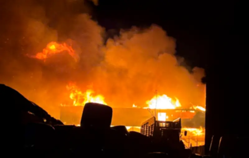 Incendies d'élevages : une enquête révèle 458 feux en un an, 189 000 animaux morts