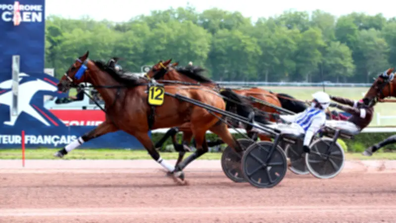 Inexess Bleu triomphe dans le Prix des Ducs de Normandie à Caen