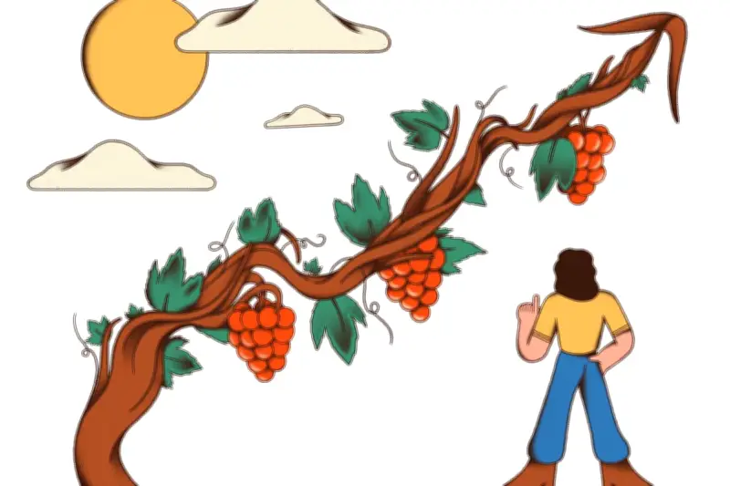 Investir dans les forêts et vignes : avantages fiscaux pour l'IFI et succession