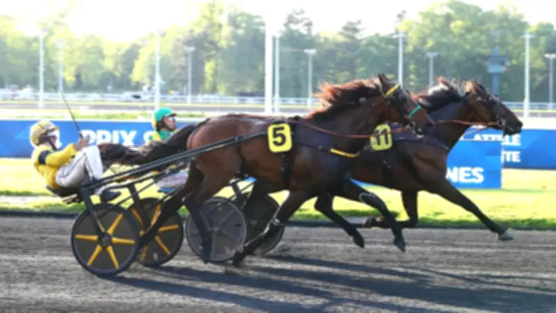 Iris des Roseaux remporte le quinté à Vincennes dans le Prix Sirrah