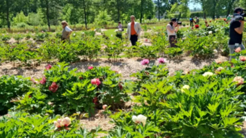 Jardin de la Pivoine : 300 variétés sur 8 000 m² à Chantilly