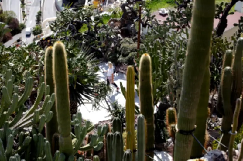 Jardin exotique de Monaco : 20 000 visiteurs en un mois, bilan positif