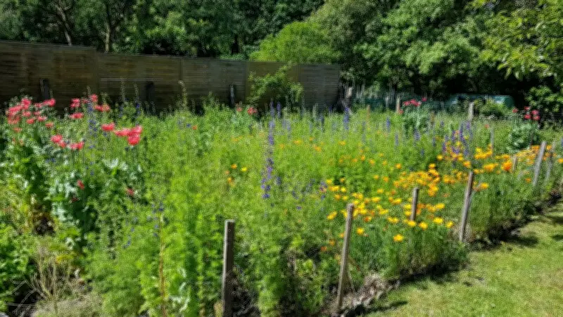 Jardins ouverts à Carcarès-Sainte-Croix : marché et ateliers biodiversité
