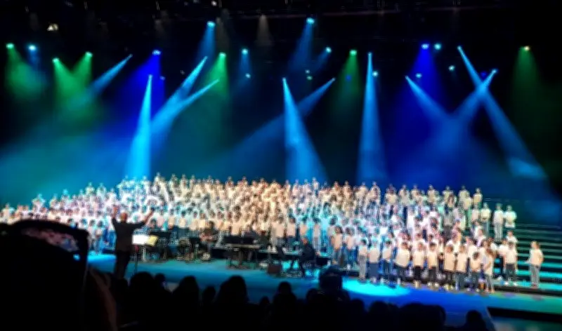Jazz in School : 40 écoliers mauléonnais sur la scène du Zénith de Pau