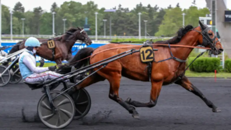 Jean-Michel Bazire remporte son 623e quinté avec Lord Délo à Vincennes
