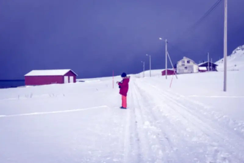 Jorn Lier Horst et Jan Erik Fjell : un cri étouffé dans l'hiver norvégien