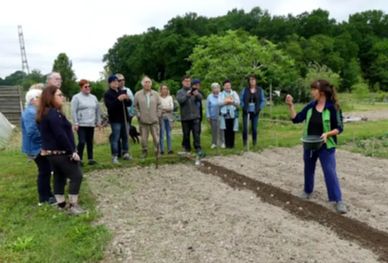 Journée maraîchage aux Jardins familiaux d'Artix : ateliers et nouveau bureau