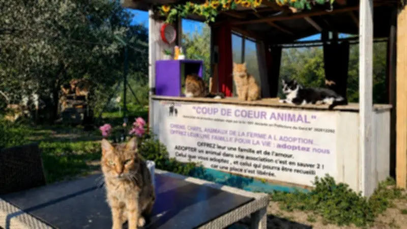 Journée solidaire pour les animaux à La Rouvière le 23 mai