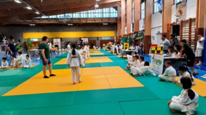 Judo : plus de 500 jeunes au tournoi du club de Vauvert
