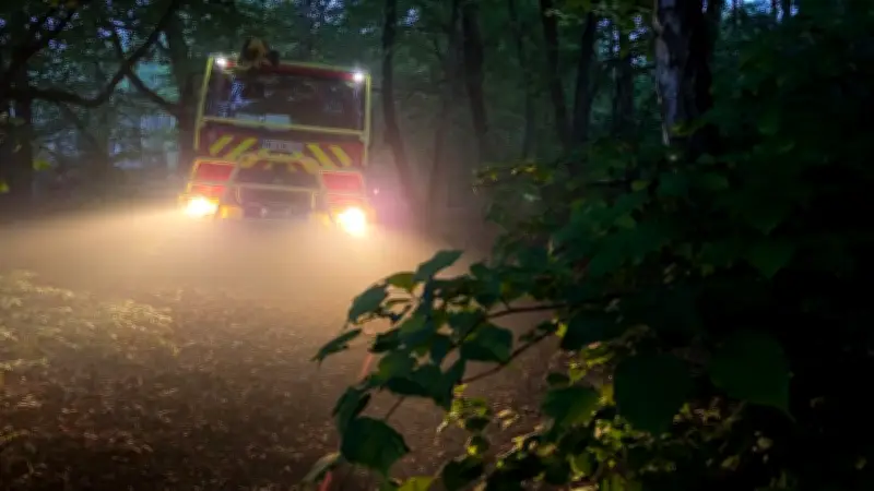 Jura : un barbecue mal éteint provoque un incendie de 3 hectares