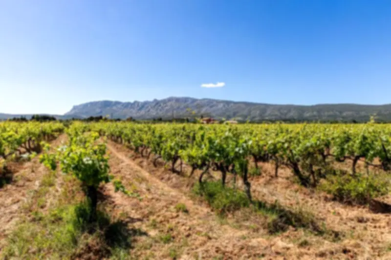 Just'Rosé 2026 : rencontre avec les viticulteurs parmi les 71 domaines présents à Sanary