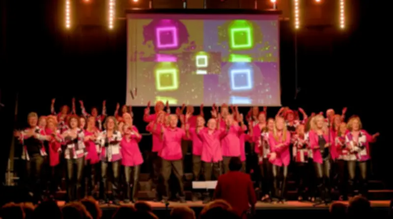 Kakofony en concert au Carré des Forges les 16 et 17 mai