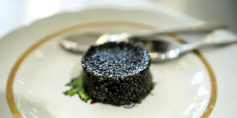 Kazakhstan : renaissance du caviar mythique de la mer Caspienne