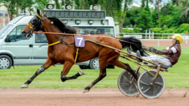 Kelcanto Bello remporte le quinté à Vichy et comble les turfistes