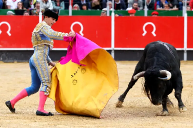 La Brède : la justice suspend la corrida 2026, un an d'interruption suffit