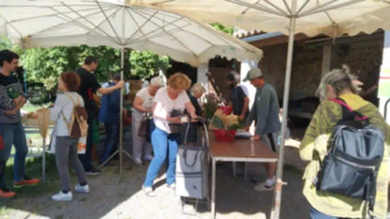 À La Noria, l'alimentation devient solidaire dans le Gard