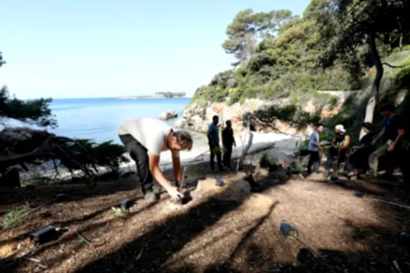 La plage Croupatassière au cap d'Antibes retrouve son éclat naturel