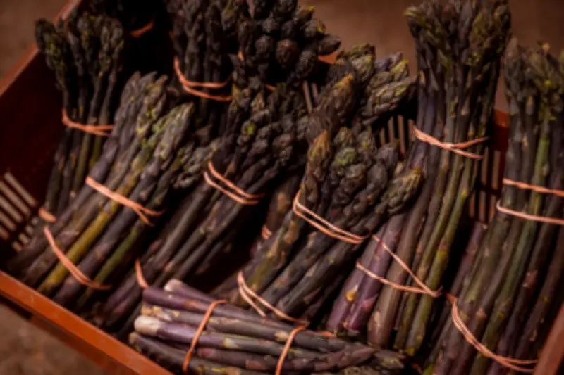 La pourpre, l'asperge qui sort du rang et séduit les gourmets