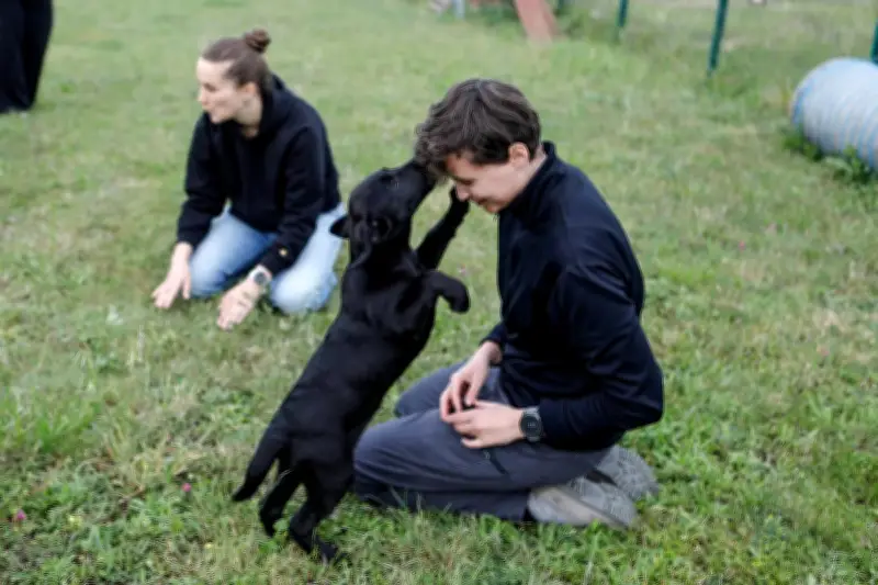 À La Rochelle, des chiots labrador choisissent leur maître douanier