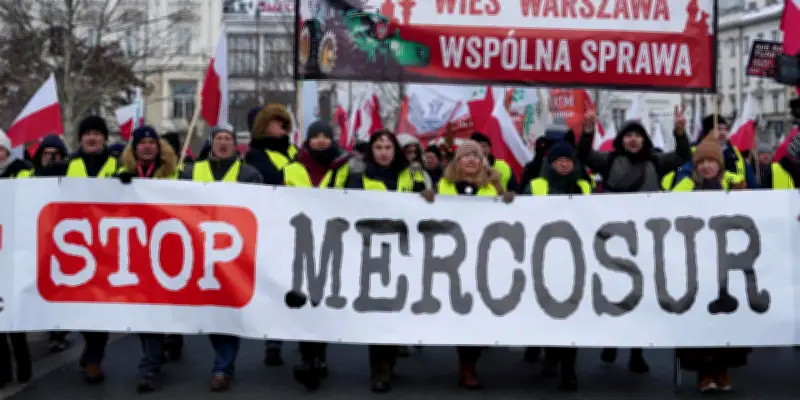 L'accord UE-Mercosur entre en vigueur : cinq questions pour comprendre
