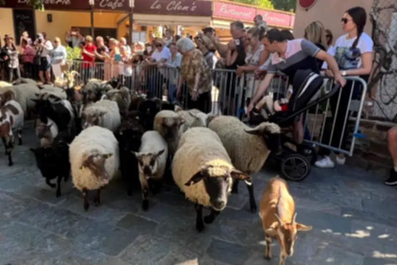 L'Arche de Grimaud : une ferme géante de 1500 m² au cœur du village