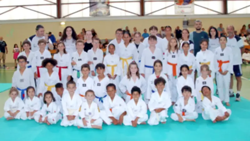Le club de taekwondo de Boisseron brille à Gignac