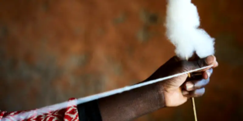 Le cours du coton s'envole, renchéri par le pétrole
