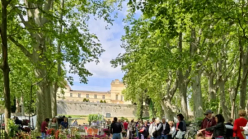 Le marché du 8 mai revient au Château de Castries