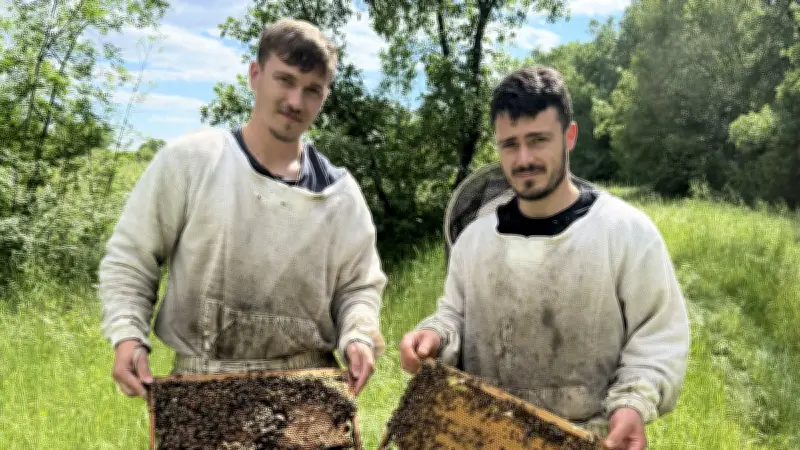Le monde des abeilles s’installe à la médiathèque tout le mois de juin