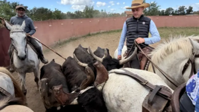 Le ranch Luke rebondit et organise une féria camarguaise à Agde