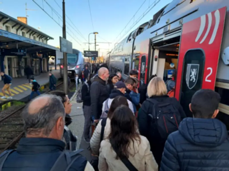 Le train séduit les travailleurs malgré les retards et le coût