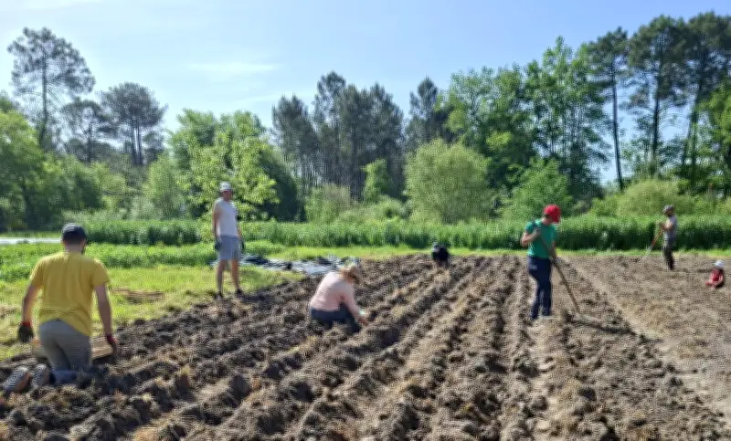 Les Amap bordelaises : un modèle solidaire qui s'ancre dans le quotidien