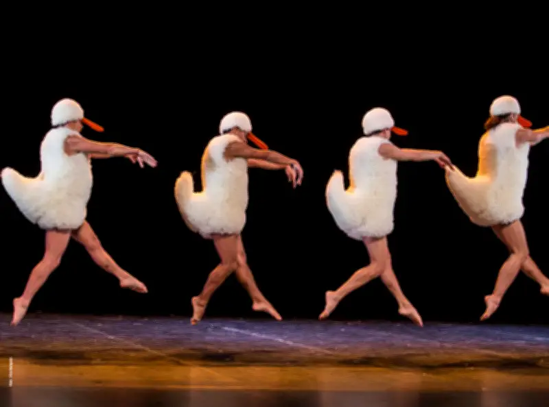 Les Chicos Mambo présentent leur spectacle iconique « Tutu » à l'Ermitage-Compostelle