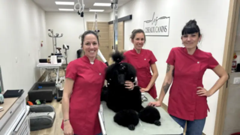 Les Ciseaux Canins s'installent face à l'université Hoche à Nîmes