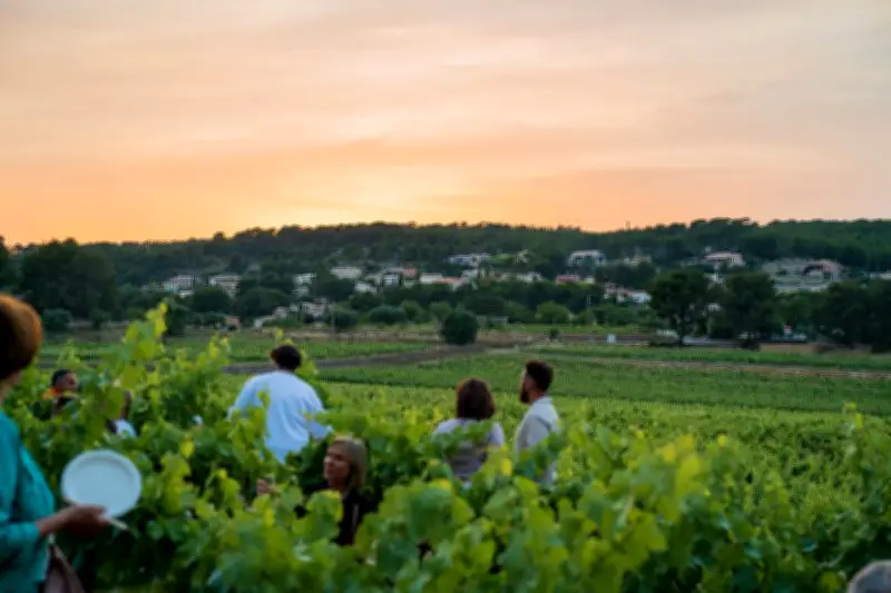 Les Escapades des vins de Bandol : balade gourmande du 5 au 7 juin