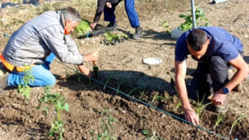 Les jardins municipaux de Lussan renaissent au soleil