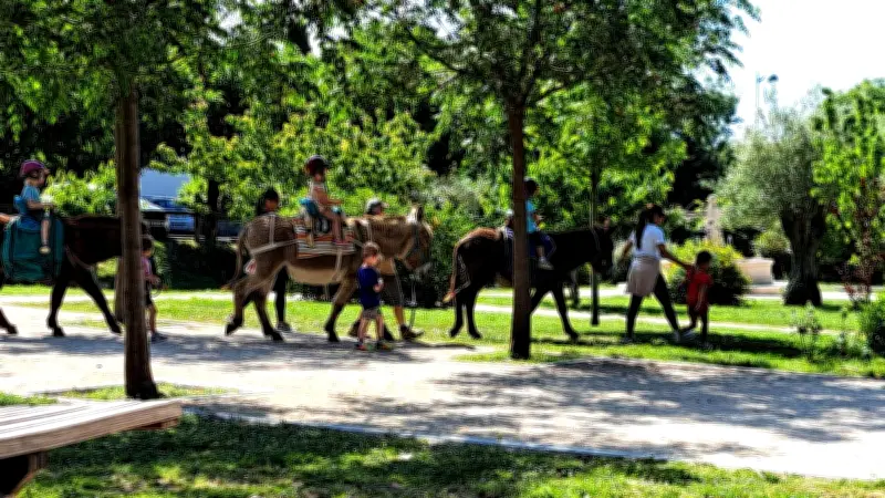 Les maternelles montent à poney au jardin Intergénérations