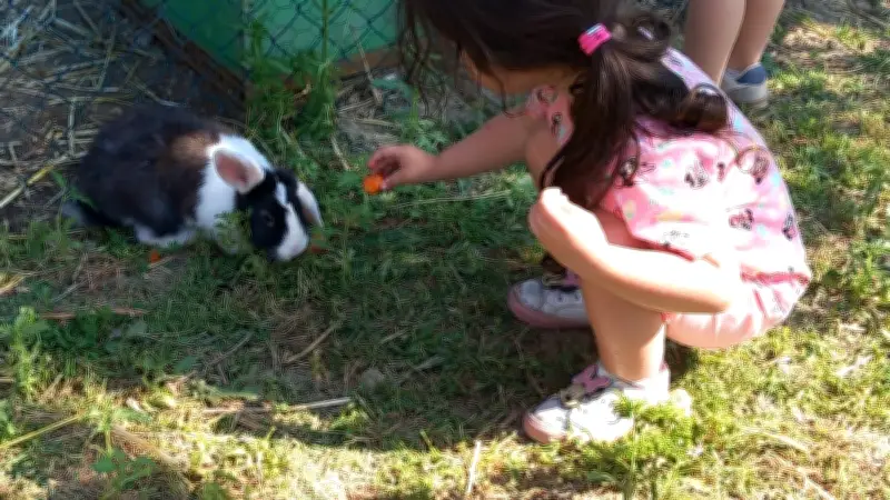 Les petits de la crèche à la découverte de la ferme
