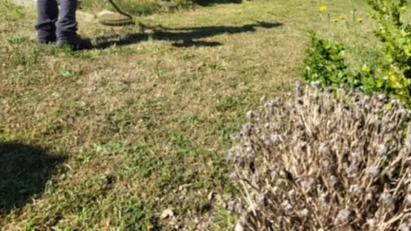L'ESAT Sainte-Véronique mobilisé pour l'entretien du vieux cimetière de Tavel