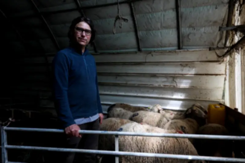 Levens : sangliers et loups, un casse-tête pour la commune