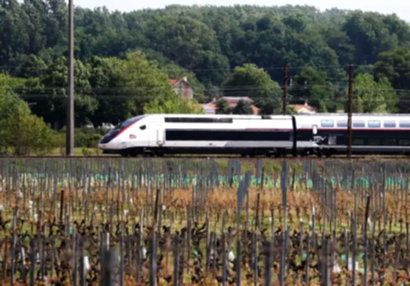 LGV en Gironde : la justice indemnise cinq riverains pour nuisances sonores
