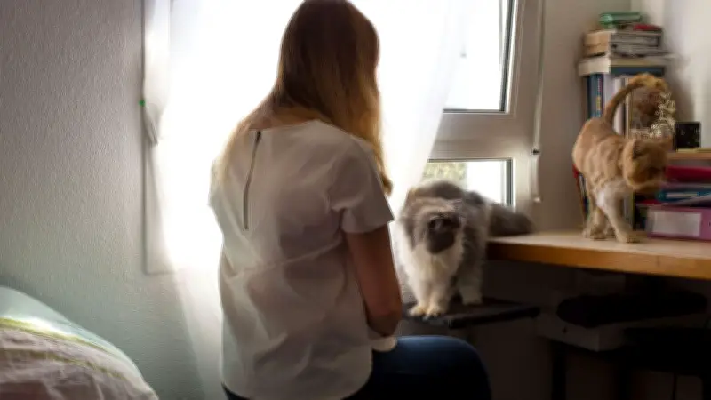 Libéré après 30 ans, un violeur autorisé à habiter à Rennes, ville de sa victime