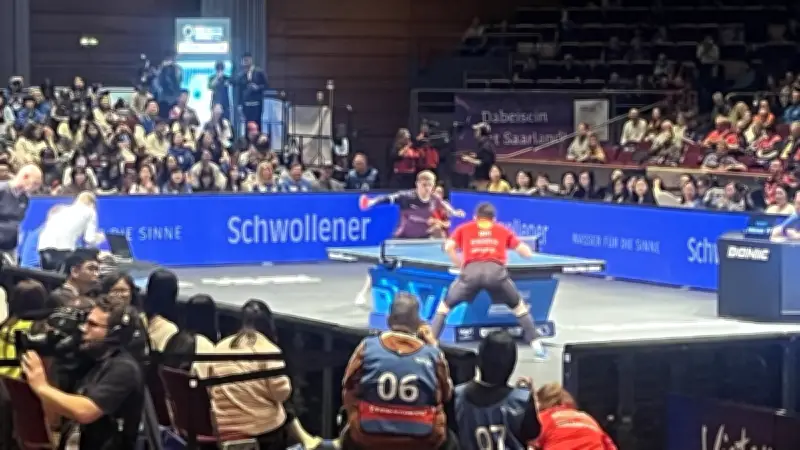 Ligue des champions : les frères Lebrun propulsent l'Alliance Nîmes-Montpellier en finale