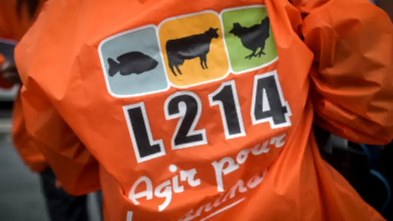 Loi d'urgence agricole : les lanceurs d'alerte craignent d'être réduits au silence