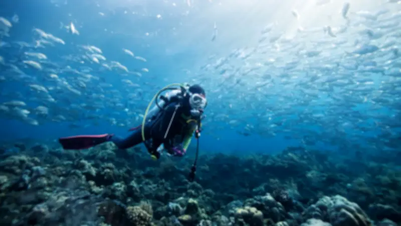 Maldives : cinq plongeurs italiens meurent, un corps retrouvé