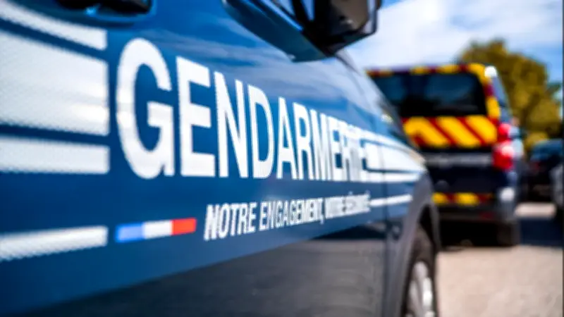 Maltraitance animale dans le Gard : chiens et chat affamés secourus au Vigan