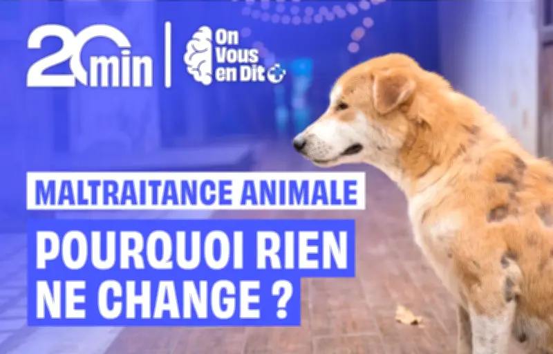 Maltraitance animale : pourquoi les sanctions restent insuffisantes en France ?