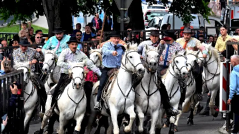 Manade Devaux remporte le concours d'abrivado de la feria d'Alès