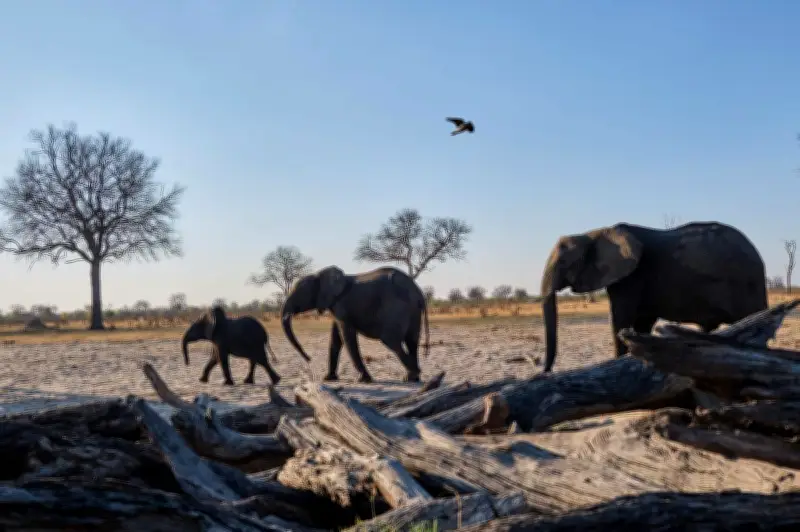Marc-André Selosse : la biodiversité invisible, clé de notre avenir