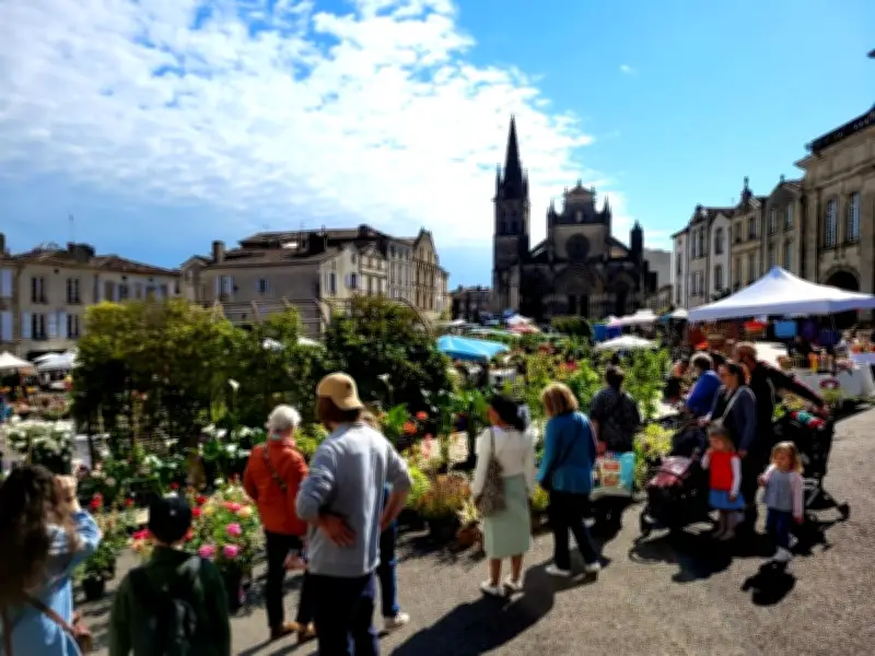 Marché aux fleurs animé le 8 mai à Bazas avec 40 exposants